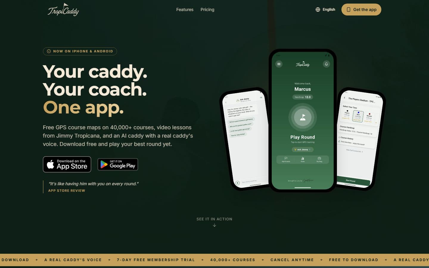 Screenshot of tropicaddy.com